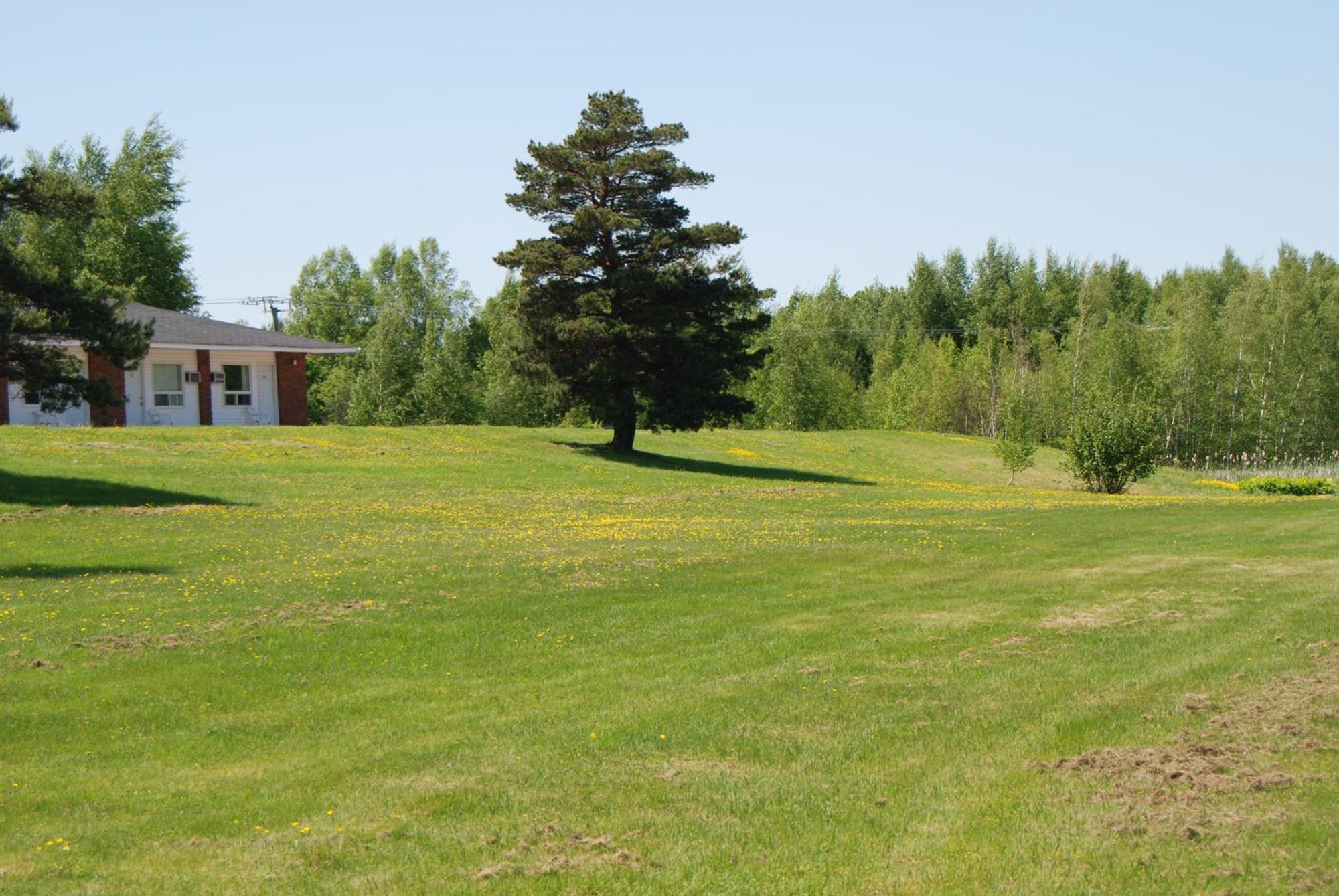 Tantramar Motel Sackville Dış mekan fotoğraf