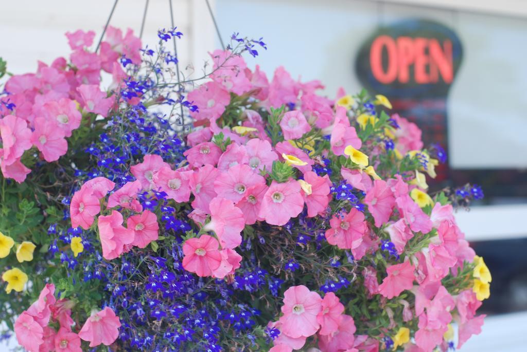 Tantramar Motel Sackville Dış mekan fotoğraf
